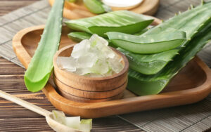 slices of Aloe Vera in a plate