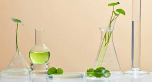 Centella asiatica plants and liquid in lab glass