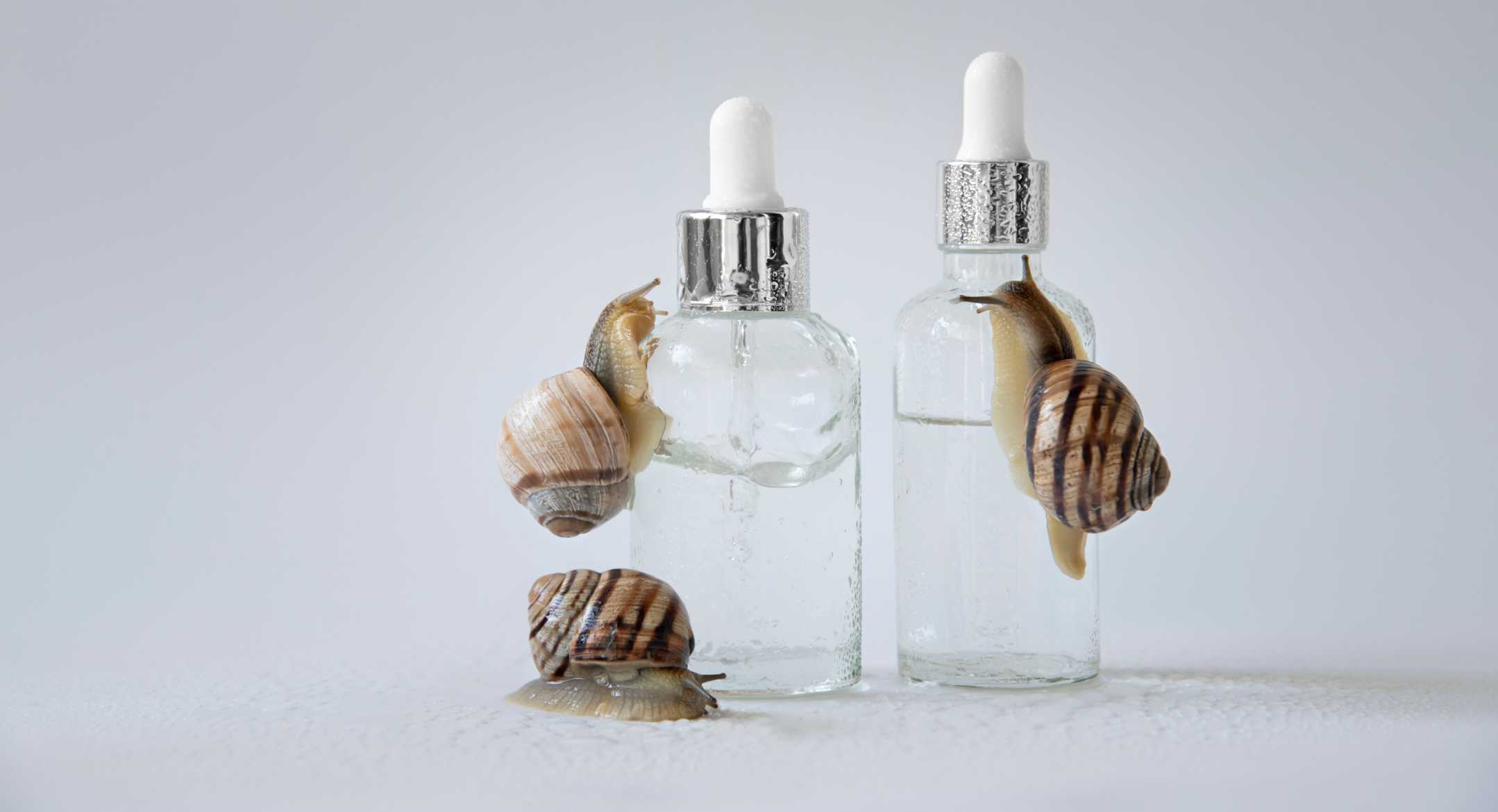 snails crawling on a glass of bottle