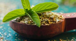 cosmetic-ingredient-holy-basil-club-derm