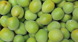 a bunch of kakadu plum